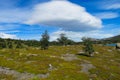 Patagonia windy flatlands at sunny day Royalty Free Stock Photo